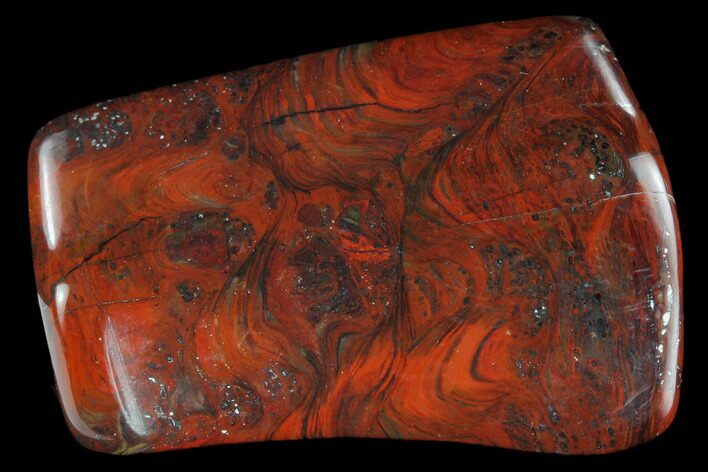 Polished Stromatolite (Collenia) - Minnesota #126078